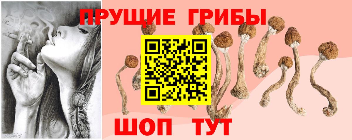 Галлюциногенные грибы Cubensis Стрежевой